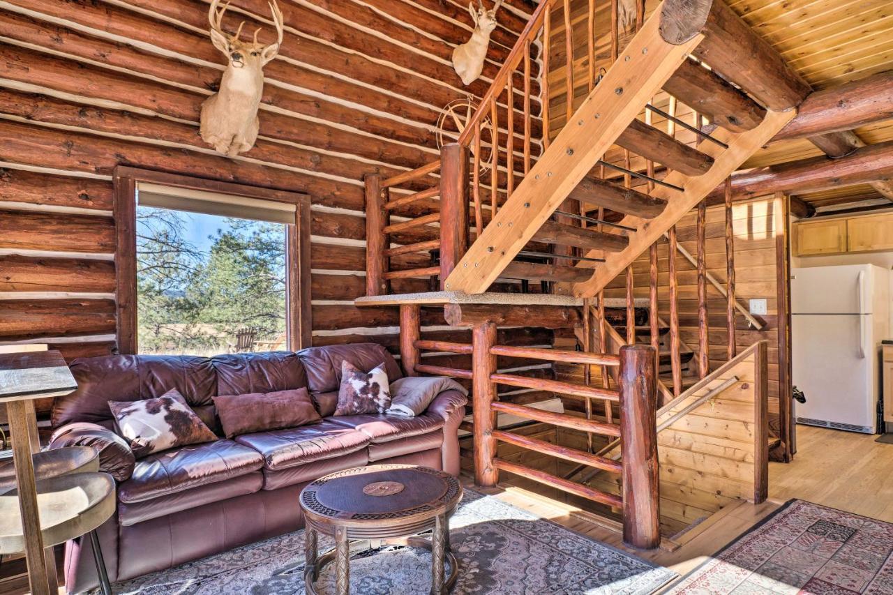 Classic Colorado Log Home With Mountain Views! Florissant Exteriör bild